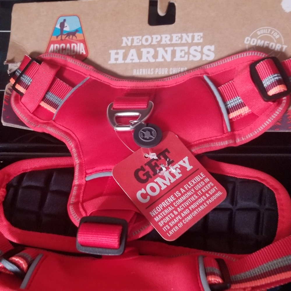 Harness dog